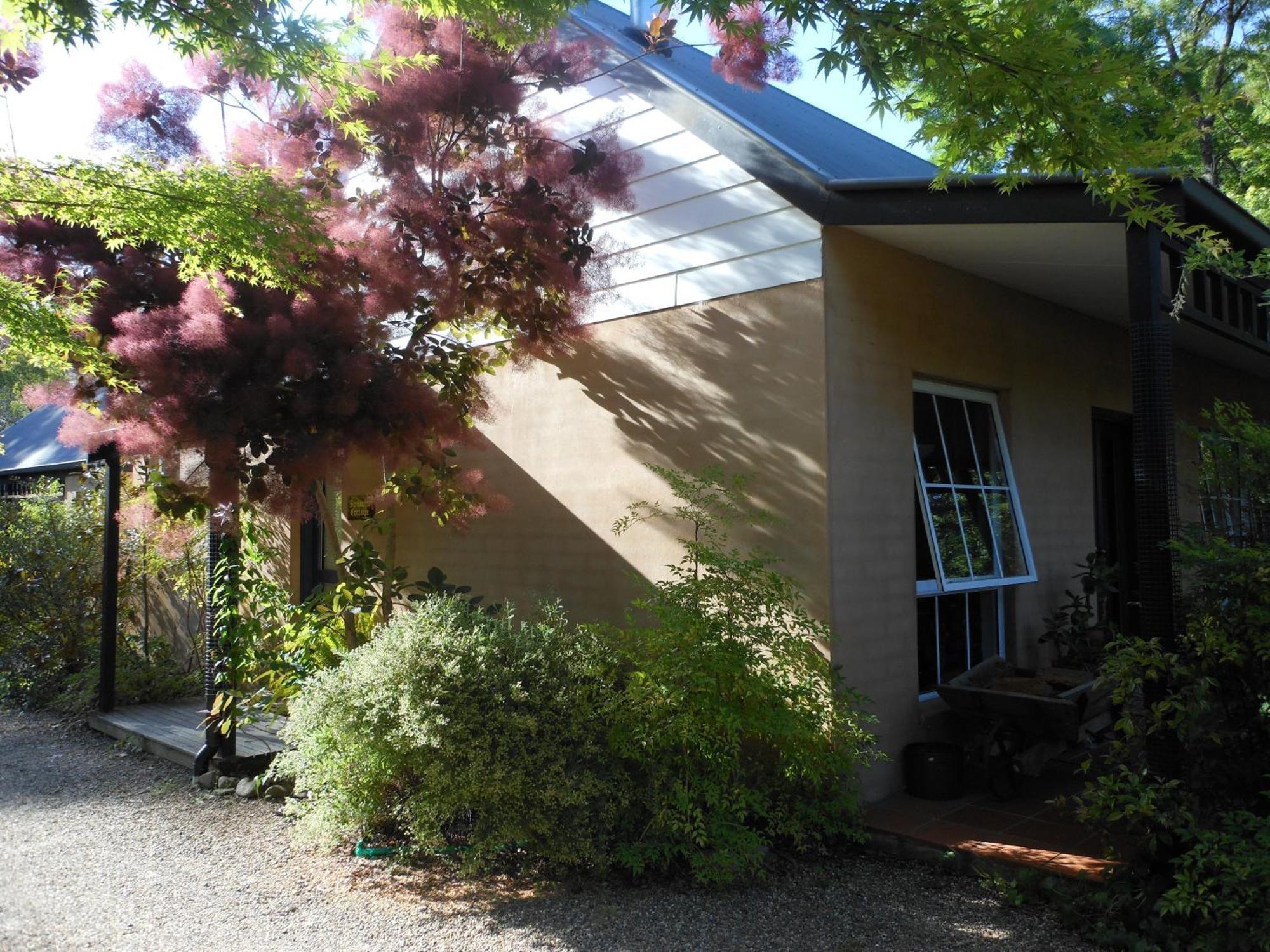 Merrimeet Cottages ブライト エクステリア 写真