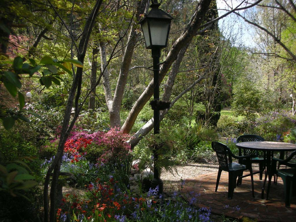 Merrimeet Cottages ブライト 部屋 写真
